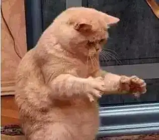 "▼"或者大概这么大."▼"有这么大.