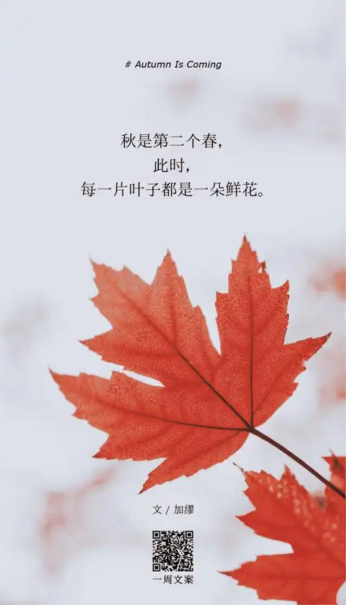 新知达人, 几句关于秋天的好文字