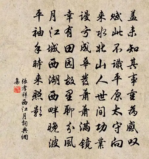 张孝祥西江月书法作品欣赏