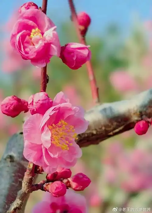 690_967竖版 竖屏