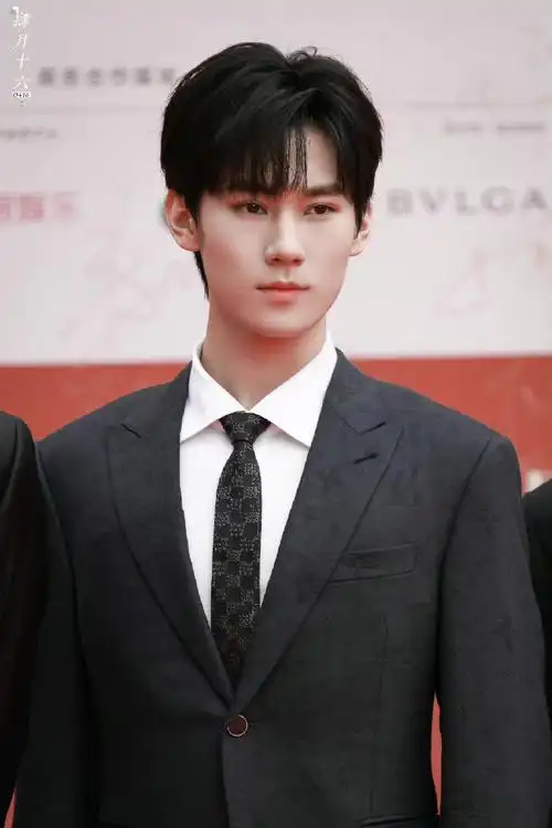 张真源北影节红毯生图