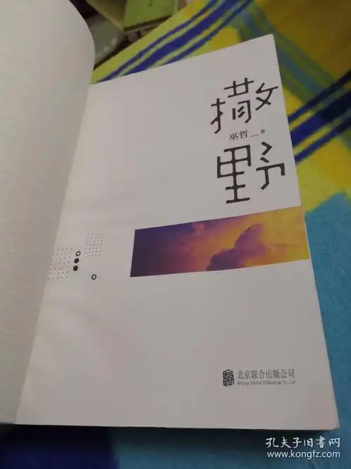 撒野(巫哲新书)