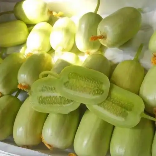 山东新鲜玉女小黄瓜拇指颜如玉水果黄瓜批发小黄瓜生吃网红q蛋瓜暂不