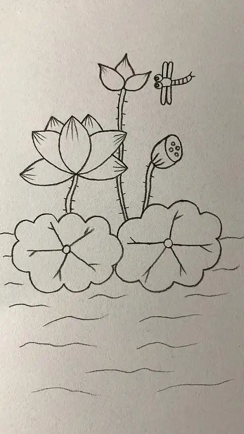 简笔画#小荷才露尖尖角,早有蜻蜓立上头-度小视