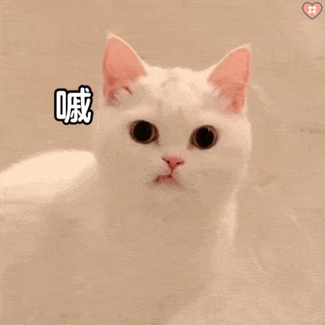 丨第109期表情包_猫咪