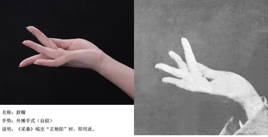 梅馆云端展|手舞艺术——梅派兰花指摄影展 - 梅兰芳纪念 馆