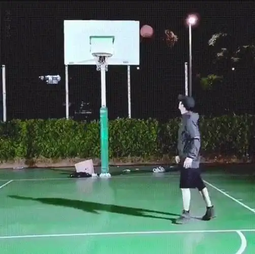 十项全能艺人朴灿烈?