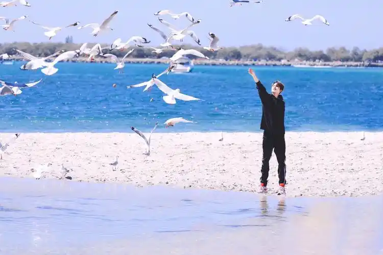 朱正廷图片朱正廷海边帅气写真图片