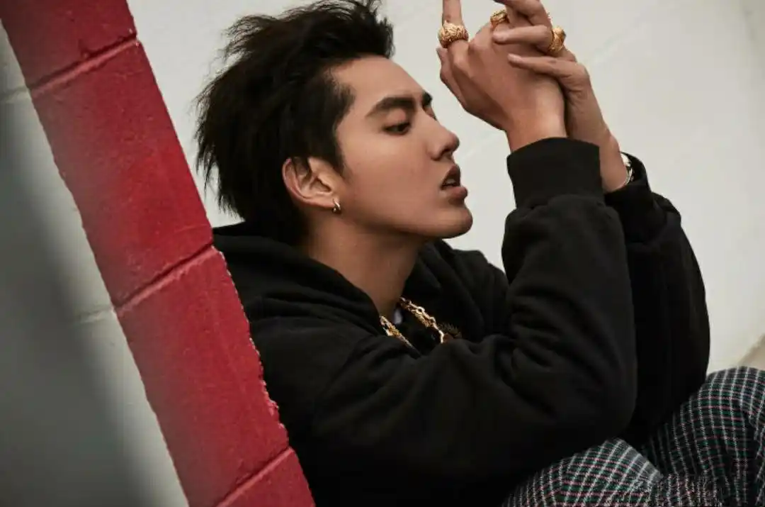 吴亦凡留胡子太油腻引热议,粉丝:凡凡你是不是故意的?