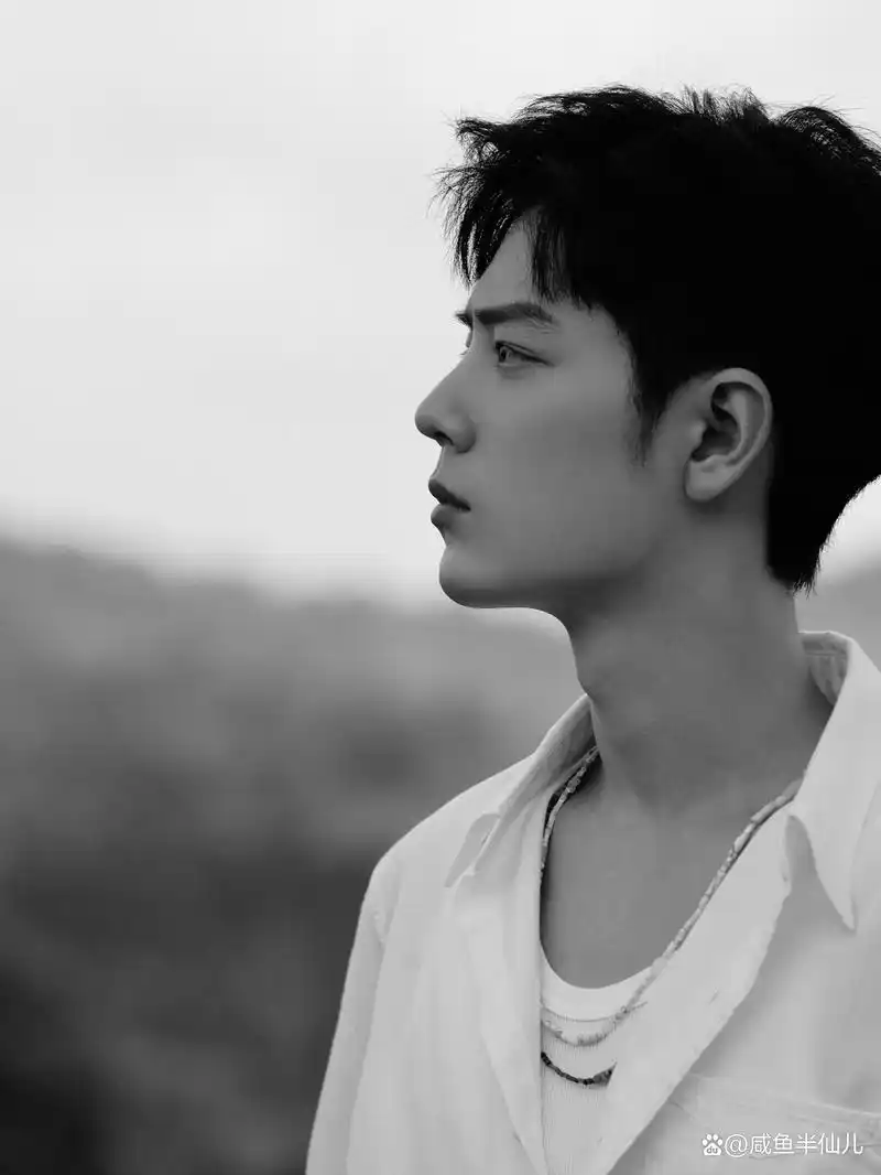 肖战悄然入冬黑白简约大片