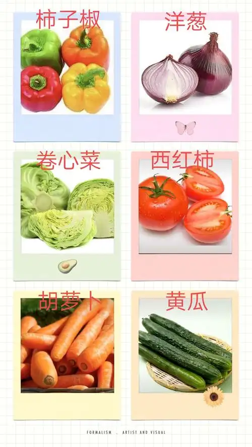 《认识蔬菜宝宝》科学