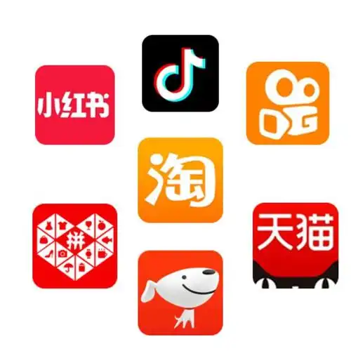 小红书|lion|百亿补贴_网易订阅