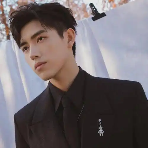 微信头像陈飞宇