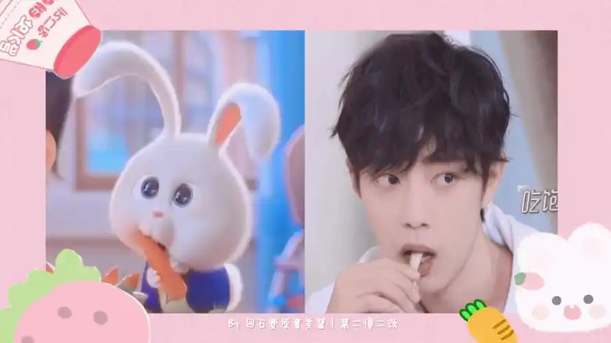 论山城兔【肖战】与【爱宠大机密兔老大】的可爱适配度有多高_哔哩