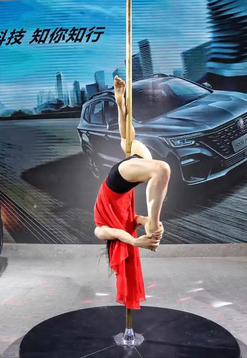 车展上的钢管舞 (一)