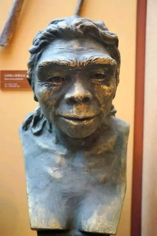 原始社会中,已经约有二百余万的历史了,在这短暂的时间里,中国的古猿