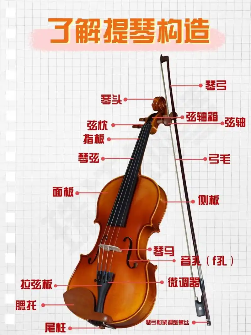 95小提琴入门笔记98了解小提琴构造 98想要入门学小提琴71第1