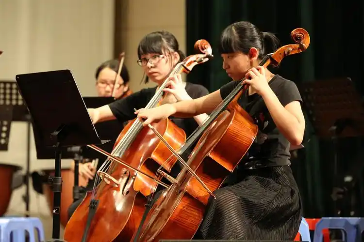 珠海一中弦乐团获得市第二十七届青少儿艺术花会器乐合奏高中组金奖 |