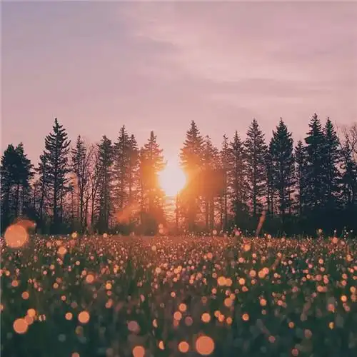 适合一辈子风景头像图片 高清值得一辈子不换的头像风景_风景微信头像