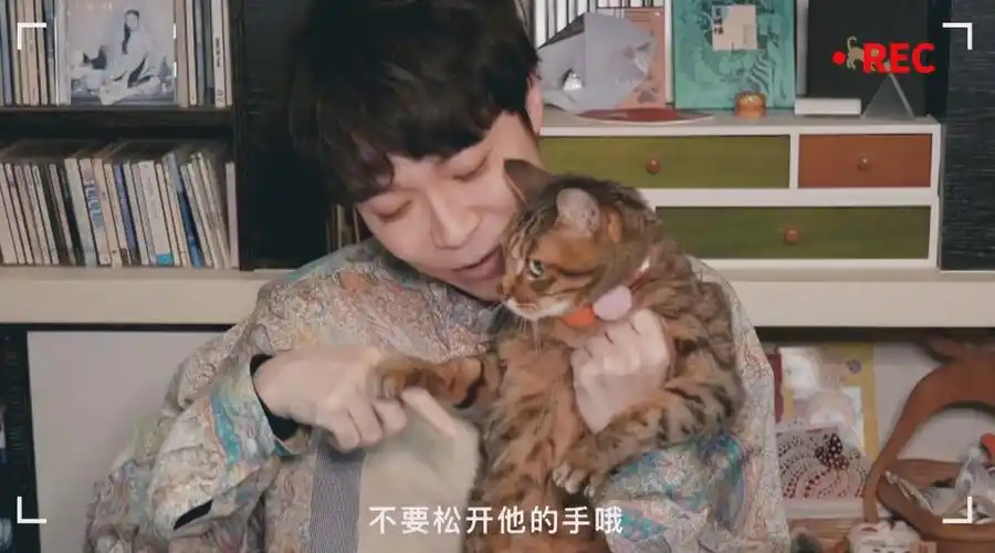 【#吴青峰lucky合唱##崖上的波妞中文主题曲#】宫崎骏动画《悬崖上的