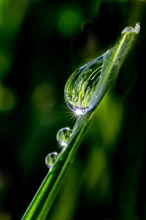 1000_1500竖版 竖屏