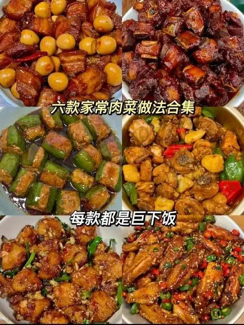 简单易做的家常肉菜 肉菜菜谱大全  1