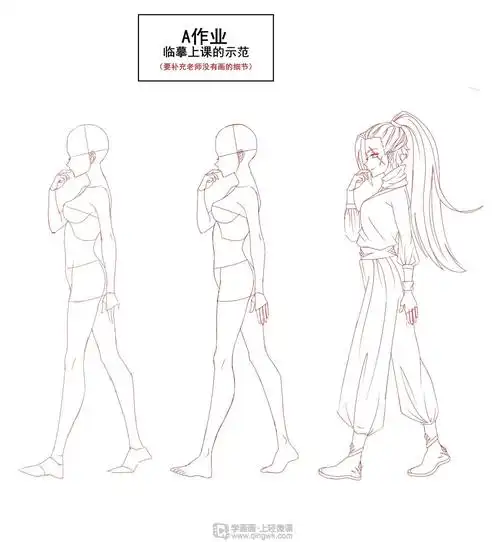 侧面的人体结构和细化