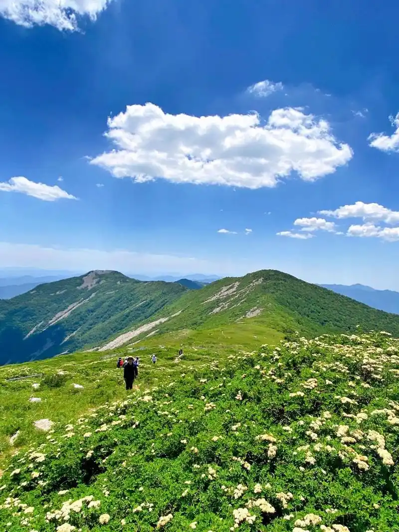 西安封神级的10大高山草甸 95美爆了 7215秦岭美景百看不厌,这