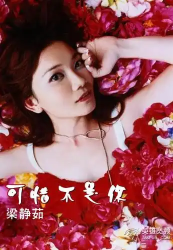 谁有梁静茹的(可惜不是你)的专辑图咯?发给我