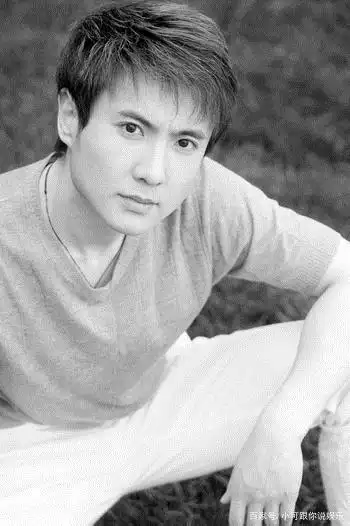 当年的军艺校草沈腾:成为了最具票房号召力的男演员.