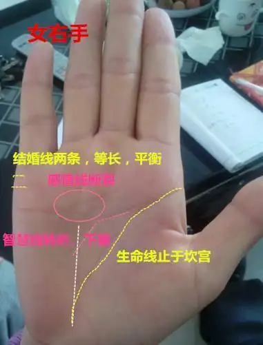 生命线在坎宫结束,位置有点空.只要没有杂纹,问题就不大.