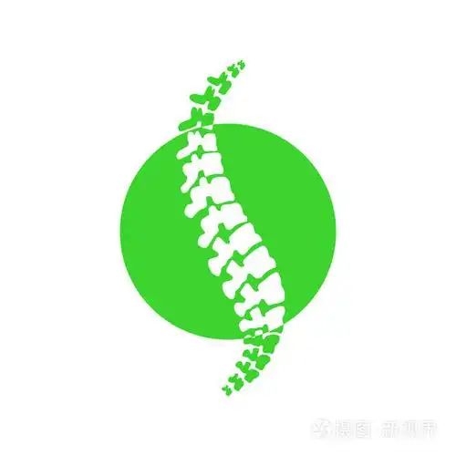 矢量徽标模板.人脊柱隔离剪影图