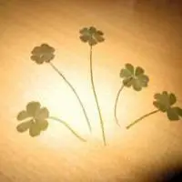 四叶草微信头像图片大全【点击鼠标右键下载】