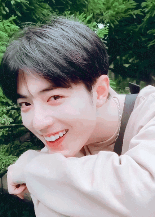 肖战动态壁纸爱了爱了7878