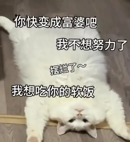 聊天实用表情包:对你好瑟点怎么了_公众_熊猫头_世界