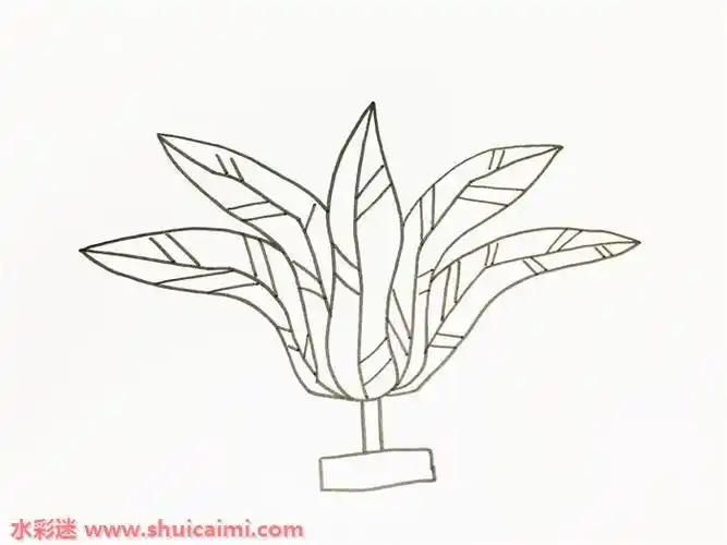 毽子怎么画毽子简笔画图片带颜色