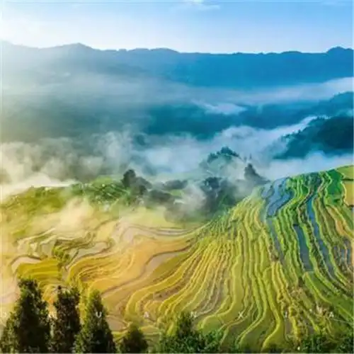 最美梯田图片头像大全 美伦美幻的梯田风景_风景头像_头像屋