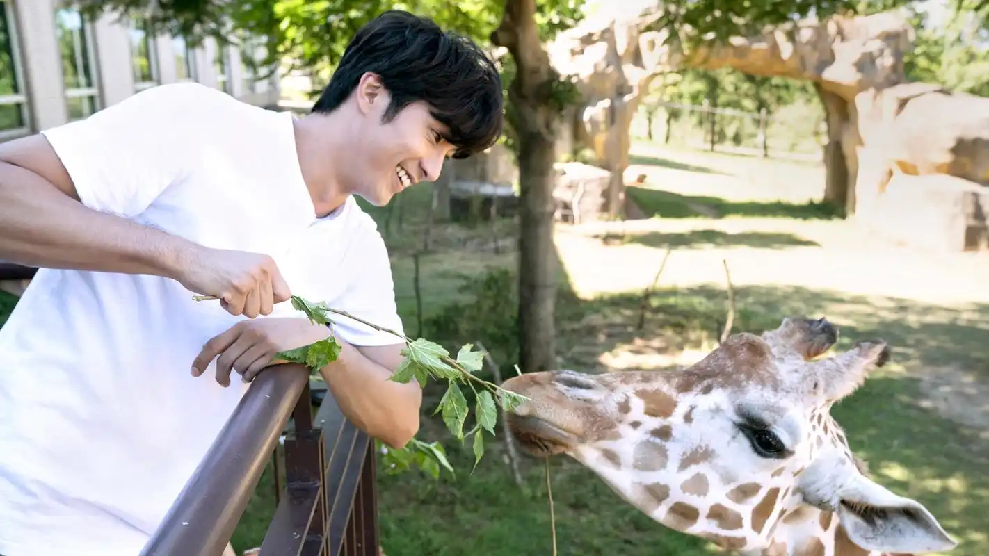 钟欣潼贺军翔《动物系恋人啊》剧照图片桌面壁纸高清大图预览1920x