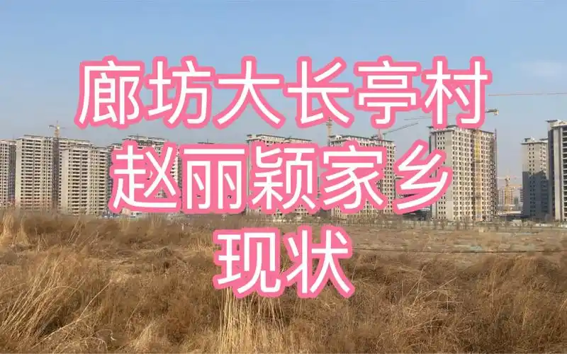 廊坊大长亭村 赵丽颖家乡现状 曾经的村子建成了楼盘 往后怎么发展啊