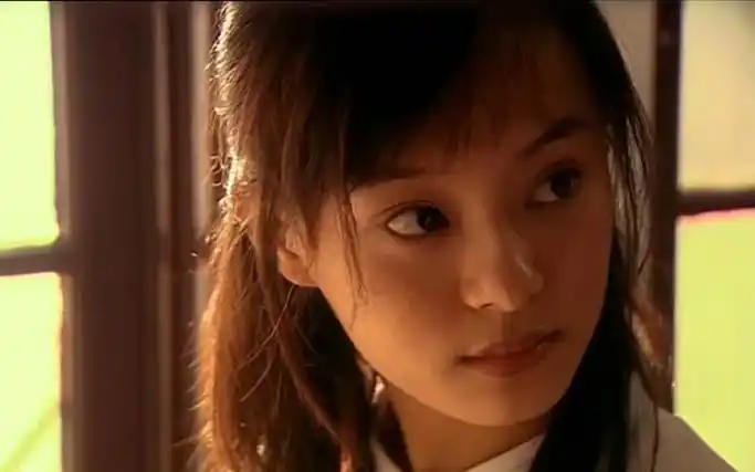 现在的孙俪和年轻时的孙俪差别很大.