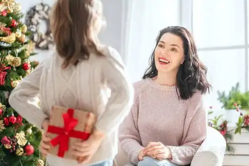 照片 圣诞快乐,节日快乐! 快乐的妈妈和她可爱的女儿交换礼物.