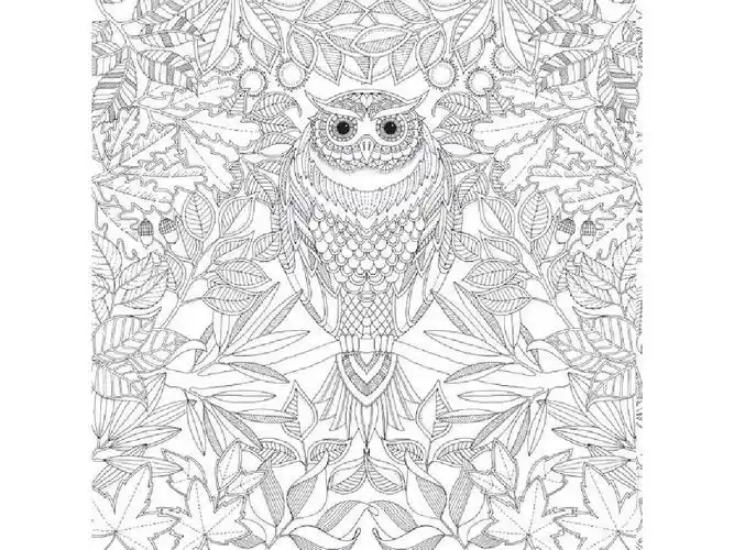 秘密花园填色可打印