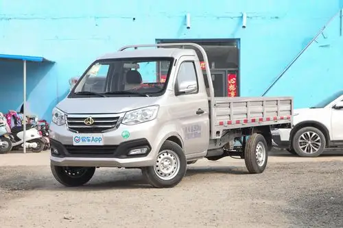 2021款新豹t3东安16l122马力3080轴距单排载货汽车国Ⅵ