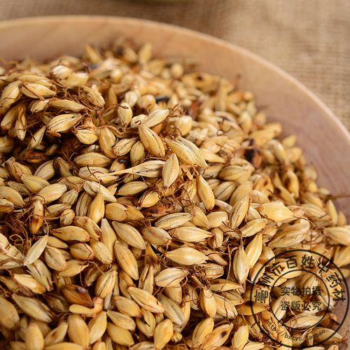 同仁堂中药材 新货炒麦芽 焦麦芽 熟大麦芽茶 回奶泡水 降泌乳素 500g