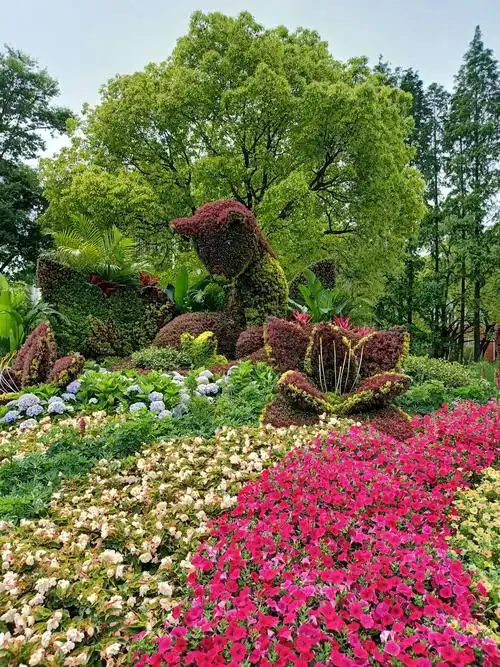 2020年4月24～5月25上海植物园国际花展