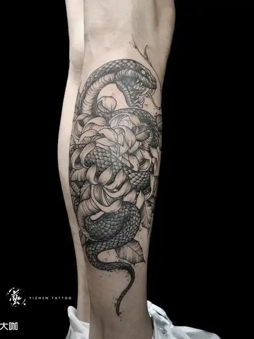 蛇与菊_纹身图案手稿图片_香诚的纹身作品集
