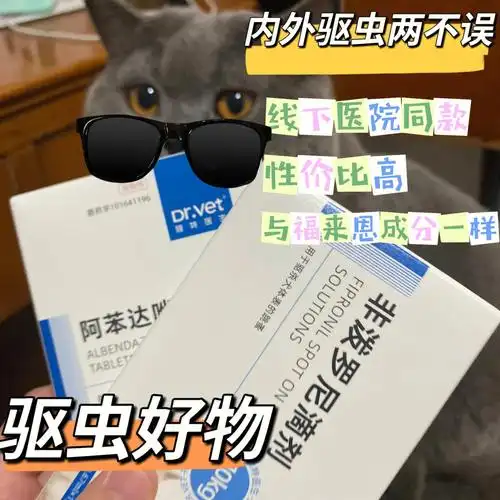 养猫必备单品猫咪驱虫不可少