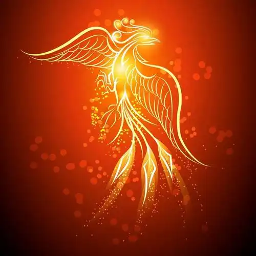 [编号287]火凤凰涅盘浴火重生中国传统图腾图案eps矢量设计素材-淘宝