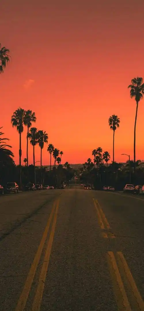 抖音热门壁纸推荐! | 你是vip?