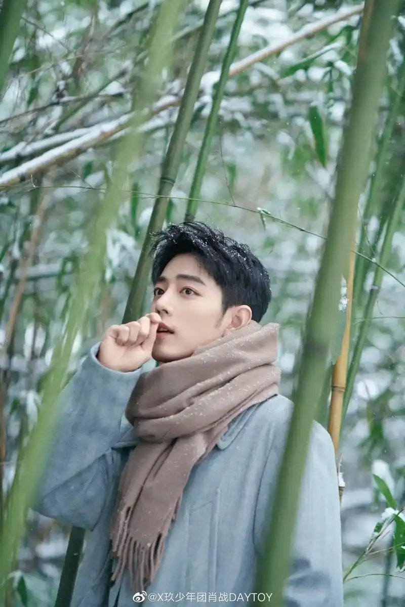 肖战 #肖战冬至竹林大片 冬至的幸福～意外的惊喜.喜欢一个 - 兑趑